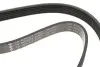 Фото Ремінь генератора Citroen Jumper/Peugeot Boxer 2.0/2.2HDi 04- (-AC)/Opel Movano 2.5D INA (FB 6EPK873) зображення 4