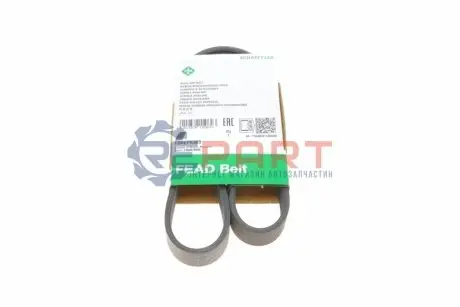 Ремінь генератора VW Polo/Up 11-/Skoda Fabia 14-/Seat Ibiza 1.0/1.6 15- (6PK989) INA FB6EPK989 Купити в Україні