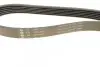 Фото Ремінь генератора VW Caddy/Golf VIi-VIII/Passat B8/Tiguan/Touran 1.0-1.6 13 INA (FB6PK1000) зображення 2