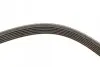 Фото Ремінь генератора VW Caddy/Golf VIi-VIII/Passat B8/Tiguan/Touran 1.0-1.6 13 INA (FB6PK1000) зображення 3