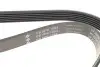 Фото Ремень генератора VW Golf V/VI/Passat VI/VII/Tiguan/Touran 1.4TSI/FSI/1.6 FSI 03-18 (6PK1084) INA (FB6PK1084) изображение 3