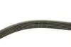 Фото Ремінь генератора Citroen Jumper/Peugeot Boxer 2.0 94-/VW Caddy 1.4 04 INA (FB6PK1093) зображення 3