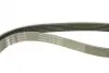 Фото Ремінь генератора Citroen Jumper/Peugeot Boxer 2.0 94-/VW Caddy 1.4 04 INA (FB6PK1093) зображення 4