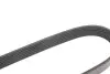 Фото Ремень генератора Fiat Scudo/Citroen Berlingo 1.9D/TD 96- (6PK1110) INA (FB 6PK1110) изображение 3