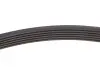 Фото Ремінь генератора VW T5 1.9TDI/2.0 03- (PS) INA (FB6PK1113) зображення 3