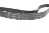 Фото Ремінь генератора VW T5 1.9TDI/2.0 03- (PS) INA (FB6PK1113) зображення 4