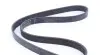 Фото Ремінь генератора Skoda Octavia/VW Golf 1.6-2.0/1.9TDI 97-13/Passat B6/B7 1.8-2.0TSI/T5 1.9TDI 03-15 INA (FB6PK1120) зображення 3