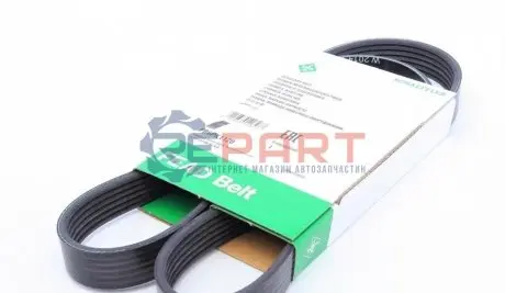 Ремінь генератора Skoda Octavia/VW Golf 1.6-2.0/1.9TDI 97-13/Passat B6/B7 1.8-2.0TSI/T5 1.9TDI 03-15 INA FB6PK1120 Купити в Україні