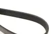 Фото Ремінь генератора VW Caddy/T5 1.9TDI INA (FB6PK1138) зображення 3