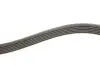 Фото Ремінь генератора Fiat Ducato/Citroen Jumper 1.9D/TD 94-/Renault Trafic 2.5dCI 03 INA (FB 6PK1153) зображення 3
