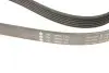 Фото Ремінь генератора Fiat Ducato/Citroen Jumper 1.9D/TD 94-/Renault Trafic 2.5dCI 03 INA (FB 6PK1153) зображення 4