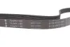 Фото Ремінь генератора Citroen Jumper/Fiat Ducato/Peugeot Boxer 2.0/2.2HDi/JTD 02 INA (FB6PK1180) зображення 4