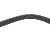Ремінь генератора Citroen Jumper/Fiat Ducato/Peugeot Boxer 2.0/2.2HDi/JTD 02 INA (FB6PK1183) зображення 4