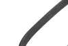 Фото Ремінь генератора Renault Kangoo 1.5 dCi INA (FB6PK1203) зображення 3