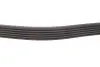 Фото Ремень генератора Renault Kangoo 1.9dTi/dCi 01- INA (FB 6PK1210) изображение 3