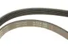 Фото Ремінь генератора Kia Rio IV 1.2-1.25 17- (6PK1232) INA (FB6PK1230) зображення 4