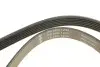 Фото Ремінь генератора Kia Rio IV 1.2-1.25 17- (6PK1232) INA (FB6PK1230) зображення 5