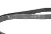 Фото Ремінь генератора Ford Granada/Fiat Bravo 1.9D/2.0 07 INA (FB 6PK1270) зображення 4