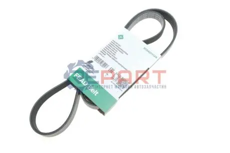 Ремінь генератора Fiat Doblo 1.3D Multijet/1.3JTD/Ford Focus 1.8/2.0 04- INA FB6PK1310 Купити в Україні