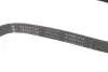 Фото Ремінь генератора Audi 100/Fiat Fiorino 1.3D INA (FB 6PK1325) зображення 2