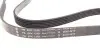 Фото Ремінь генератора VW T4 2.4D INA (FB6PK1340) зображення 2