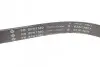 Фото Ремень генератора Opel Zafira/Astra H 1.9 CDTI 04-15/Chevrolet Aveo 1.4 11- INA (FB6PK1380) изображение 2