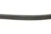 Фото Ремінь генератора Ford Connect 1.8TDCI INA (FB6PK1413) зображення 2