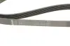 Фото Ремінь генератора Ford Connect 1.8TDCI INA (FB6PK1413) зображення 3