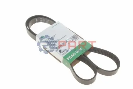Ремінь генератора Citroen/Ford INA FB 6PK1448 Купити в Україні