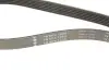 Фото Ремінь генератора Peugeot 206/Partner/Citroen Berlingo/VW Polo 1.1-1.6 02 INA (FB 6PK1453) зображення 5