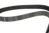 Фото Ремінь генератора Fiat Ducato 2.0JTD 01- (ALT, AC) INA (FB6PK1468) зображення 3