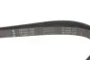 Фото Ремінь генератора Citroen Xantia 3.0 V6 97-03 INA (FB 6PK1495) зображення 3