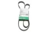 Фото Ремінь генератора Fiat Doblo1.3-1.6 D 10-/Opel Astra F/Corsa B/Vectra B 1.4-1.8/ 94-03 (6PK1530) INA (FB 6PK1530) зображення 1