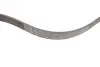 Фото Ремінь генератора Fiat Doblo1.3-1.6 D 10-/Opel Astra F/Corsa B/Vectra B 1.4-1.8/ 94-03 (6PK1530) INA (FB 6PK1530) зображення 2