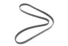 Фото Ремінь генератора Fiat Doblo1.3-1.6 D 10-/Opel Astra F/Corsa B/Vectra B 1.4-1.8/ 94-03 (6PK1530) INA (FB 6PK1530) зображення 5