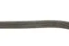 Фото Ремінь генератора VW Golf/BMW/Ford/Opel INA (FB6PK1540) зображення 3
