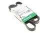 Ремінь генератора VW T4/Renault Laguna II/Peugeot 407/807/Citroen C5/C8 2.0-3.0 90-10 FB 6PK1590