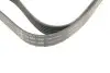 Фото Ремень генератора Opel Combo/Astra G 1.7DTi 01-/VW T4 2.0 90-03/Ford Mondeo 2.5 94-00 INA (FB 6PK1590) изображение 4