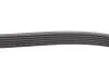 Фото Ремінь генератора Opel Corsa D 1.7CDTI 06-11/Ford Fiesta 1.8DI 00-03 INA (FB6PK1613) зображення 3