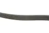 Фото Ремінь генератора Opel Astra 1.7CDTI/Passat B6 3.2FSI 05-10 INA (FB6PK1623) зображення 3