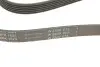 Фото Ремінь генератора Opel Astra 1.7CDTI/Passat B6 3.2FSI 05-10 INA (FB6PK1623) зображення 4