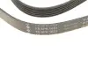 Фото Ремінь генератора Opel Astra 1.7CDTI/Passat B6 3.2FSI 05-10 INA (FB6PK1623) зображення 5