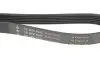Фото Ремінь генератора VW LT 2.8TDI 96KW/Ford Transit 2.0DI 00 INA (FB6PK1640) зображення 2