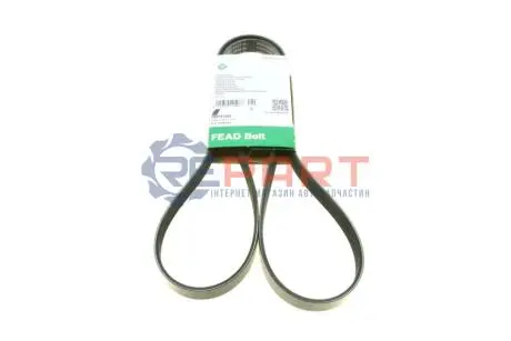 Ремінь генератора Renault Megane I/Ford Transit 2.0 94-00 INA FB6PK1653 Купити в Україні