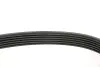 Фото Ремінь генератора Fiat Ducato 2.2/Ford Transit 2.2/Opel Combo 1.3 CDTI 06 INA (FB6PK1670) зображення 4