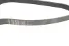 Фото Ремінь генератора VW LT 2.5TDI 96-01/Peugeot Expert 1.9D/2.0HDI 98 INA (FB 6PK1755) зображення 2
