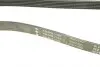 Фото Ремінь генератора MB W202/203/VW/Audi 2.4/2.8i INA (FB6PK1760) зображення 5