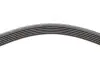 Фото Ремінь генератора Ford Mondeo IV 2.0TDCI 07-15/Volvo S80/V70 2.0D/TDi 07-15 INA (FB6PK1845) зображення 3