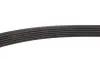 Фото Ремінь генератора VW Passat/Audi A4 2.4/2.6/2.8 95 INA (FB6PK1880) зображення 3