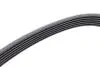 Ремінь генератора Ford Escort 1.6/1.8 92-00/Renault Espace 3.0dCi 02- (6PK1920) INA (FB6PK1920) зображення 3